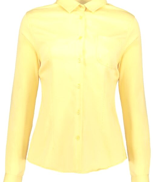 BLUSA-MUJER-GABARDINA-MANGA-LARGA-FERRUCHE